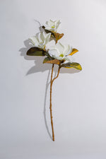 Artificial Magnolia White Stem 3 Branches