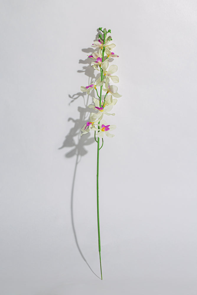 Artificial Singapore Orchid White Pink Stem