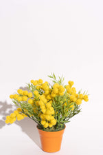 Artificial Acacia Yellow Potted Flower