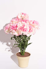 Artificial Carnation Pink White Potted Flower