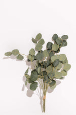 Artificial Eucalyptus Silver Dollar Bouquet - Green