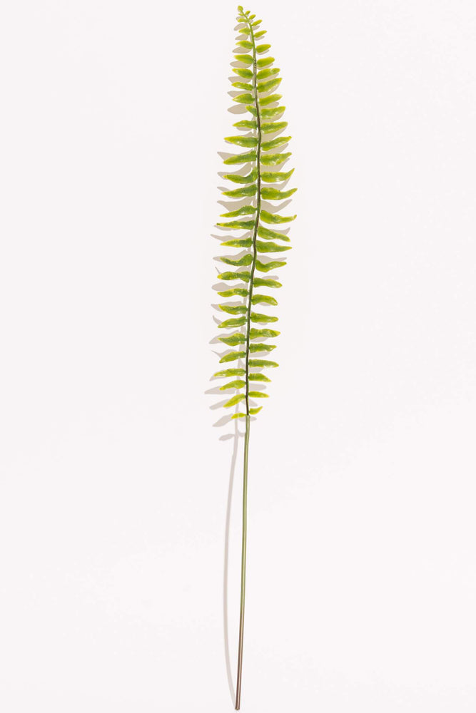 Real Touch Boston Fern