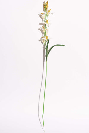 Artificial Dendrobium Orchid White Yellow Stem