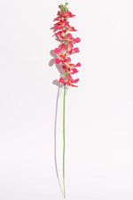 Artificial Singapore Orchid Pink Stem