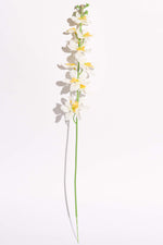 Artificial Singapore Orchid White Yellow Stem