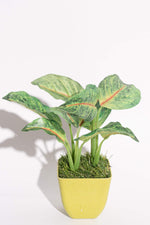 Artificial Caladium Thin Red Pattern Potted Plant