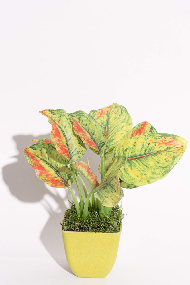 Artificial Dieffenbachia Green Slight Red Potted Plant
