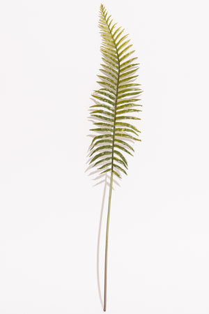 Real Touch Cinnamon Fern